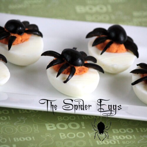 Spider eggs