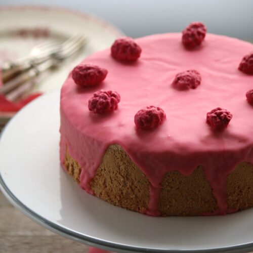 Angel Cake rose