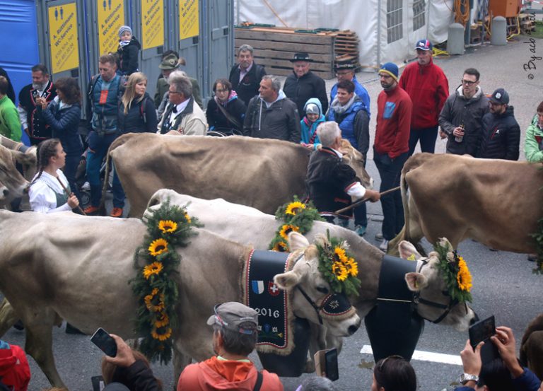 Escapade Suisse Pour Les 11ème Swiss Cheese Awards à Lucerne 