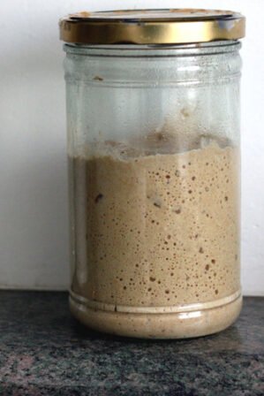Levain à la farine bise