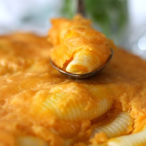 Gratin de conchiglioni à la crème de butternut et au cheddar