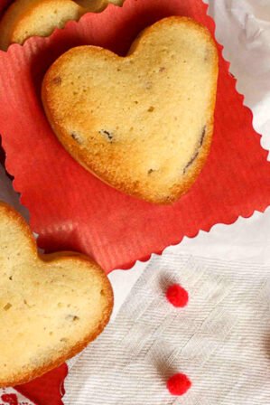 Financiers aux cranberries