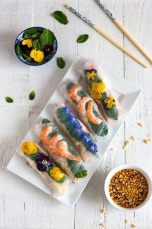 Rouleaux de printemps