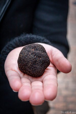 fête de la truffe à Sarlat