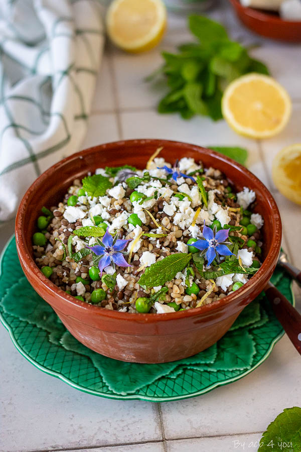 salade de lentilles vertes boulgour